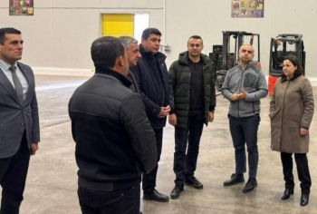 Kənd təsərrüfatı nazirinin müavini İlhamə Qədimova Naxçıvanda vətəndaşları qəbul edib, təsərrüfatlara baş çəkib