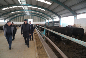 Kənd təsərrüfatı nazirinin müavini Elçin Zeynalov Hacıqabulda vətəndaşları qəbul edib, təsərrüfatlara baş çəkib