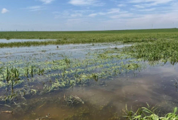 Çoxsaylı subasma hadisələri baş vermiş Şabranda fermerlərlə görüş keçirilib