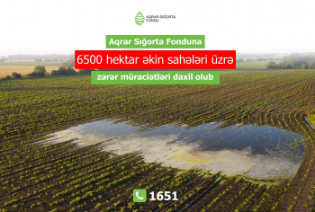 Aqrar Sığorta Fonduna 6500 hektardan artıq əkin sahəsi üzrə zərər müraciətləri daxil olub