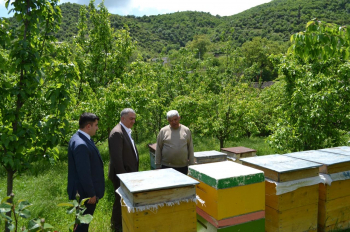 Kənd təsərrüfatı nazirinin müavini Elçin Zeynalov Daşkəsəndə vətəndaşlarla görüşüb, təsərrüfatlara baş çəkib
