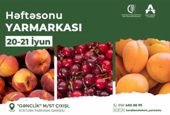 Bakıda növbəti “Kənddən Şəhərə” Həftəsonu yarmarkası təşkil olunacaq