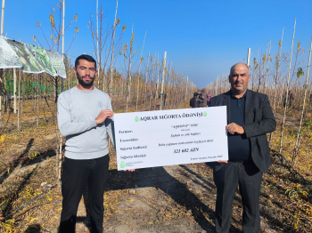 Azərbaycanda meyvə bağları üzrə ən böyük aqrar sığorta ödənişi edilib