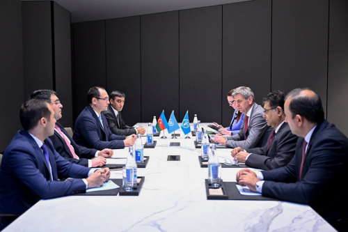 Nazir Məcnun Məmmədov FAO-nun Avropa və Mərkəzi Asiya üzrə regional nümayəndəsi Viorel Gutu ilə görüşüb